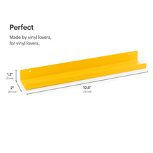 Laden Sie das Bild in den Galerie-Viewer, Vinyl Record Shelves (Metal)