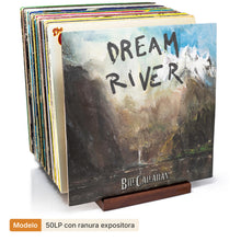 Load image into Gallery viewer, MÖNKE Vinyl Record Storage and Holder