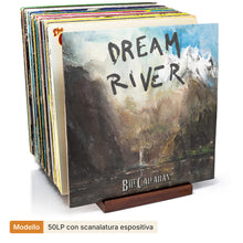 Load image into Gallery viewer, MÖNKE Vinyl Record Storage and Holder